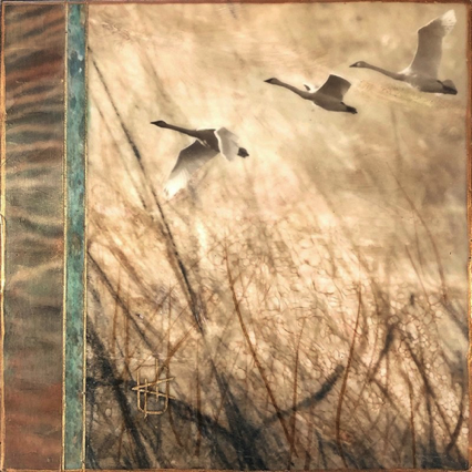 Field and Flight 8x8 Field and Flight 8x8